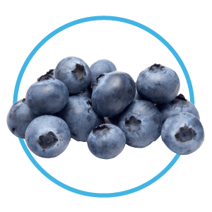 blueberries are a healthy snack for dogs